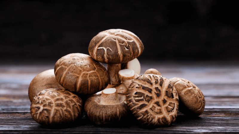 قارچ شیتاکه (Shiitake)